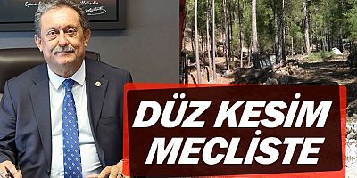 CHP Antalya Milletvekili Aydın Özer, Beycik köyündeki orman kesimini Meclis gündemine taşıdı.