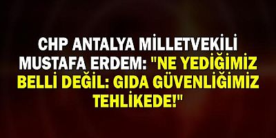Chp Antalya Milletvekili Mustafa Erdem: 
