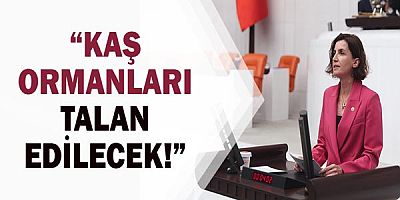 CHP Antalya Mv. Aliye Coşar: Kaş Ormanlarına Maden Ocağı tehditi!