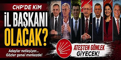 Chp'de Kim İl Başkanı Olacak?