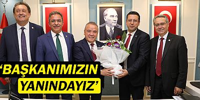 chp