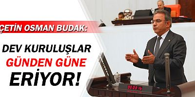CHP'li Budak