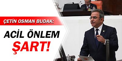 Çetin Osman Budak