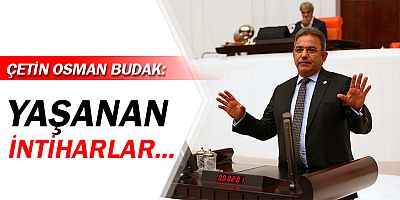 CHP Antalya Milletvekili Çetin Osman Budak