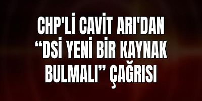 Chp'li Cavit Arı'dan “Dsi Yeni Bir Kaynak Bulmalı” Çağrısı
