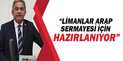 CHP'li Çetin Osman Budak, 