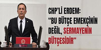 Chp’li Erdem: “Bu Bütçe Emekçinin Değil, Sermayenin Bütçesidir”