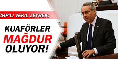 CHP Antalya Milletvekili Rafet Zeybek