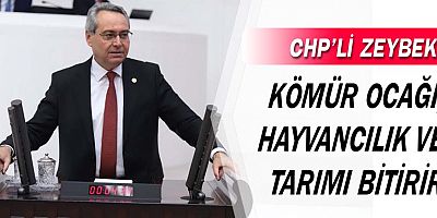 CHP'li Zeybek: Kömür ocağı, hayvancılık ve tarımı bitirir