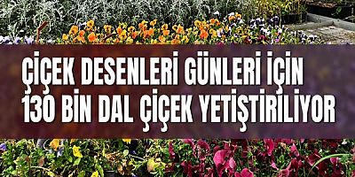 Çiçek Desenleri Günleri için 130 bin dal çiçek yetiştiriliyor