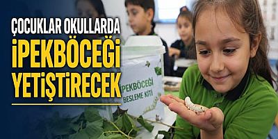 Çocuklar okullarda ipekböceği yetiştirecek
