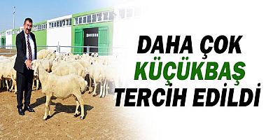 Daha çok küçükbaş tercih edildi.