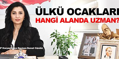 Demet Gündüz'den Ülkü ocakları ile yapılan protokole tepki.