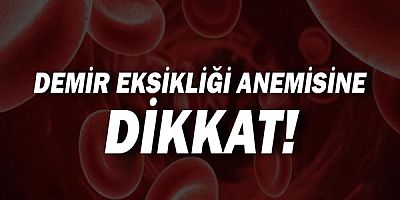 Demir Eksikliği Anemisine Dikkat!
