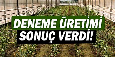  Deneme üretimi sonuç verdi 