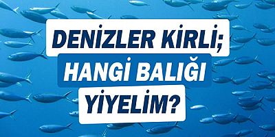 Denizler kirli, hangi balığı yiyelim?