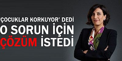 DEVA Partisi'nden Evrim Rızvanoğlu, ‘Köpekler nedeniyle çocuklar okula gitmeye korkuyor’