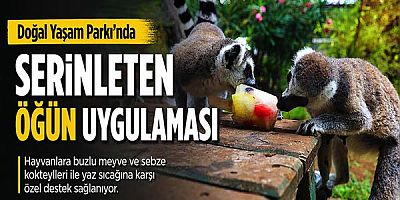 Doğal Yaşam Parkı’nda serinleten öğün uygulaması