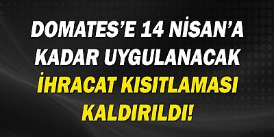 Domates’e 14 Nisan’a kadar uygulanacak ihracat kısıtlaması kaldırıldı