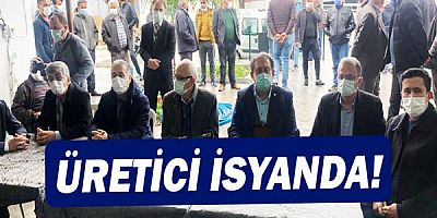 Domates üreticisi zorda, seslerini duyurmaya çalışıyor