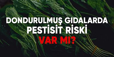 Dondurulmuş Gıdalar Pestisit Tehlikesine Karşı Güvenli mi?