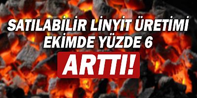 Ekim ayı katı yakıtlar verileri açıklandı!
