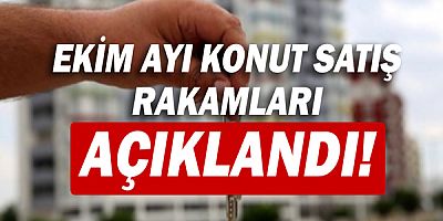 Ekim ayı konut satış rakamları açıklandı!