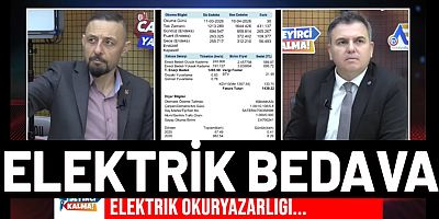 Elektrik Mühendisleri Odası Başkanı Şaban Tat, bedava elektriği anlattı.