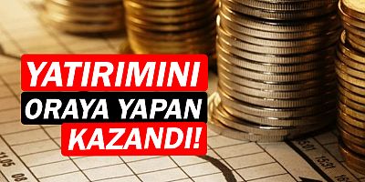 En yüksek gelir artışı