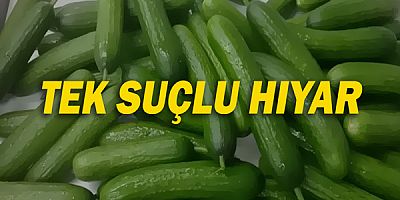 Enflasyondaki artış durdurulamıyor.