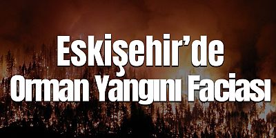 Eskişehir’de Orman Yangını Faciası: 10 Kişi Hayatını Kaybetti