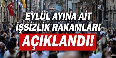 Eylül ayına ait işsizlik rakamları açıklandı!