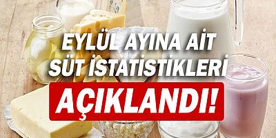 Eylül ayına ait süt istatistikleri açıklandı!