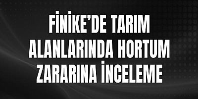 Finike’de Tarım Alanlarında Hortum Zararına İnceleme