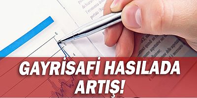 Gayrisafi hasılada artış!