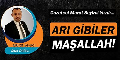 Gazeteci Murat Seyirci yazdı… Arı gibiler maşallah...