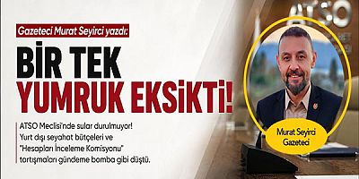 Gazeteci Murat Seyirci yazdı... BİR TEK YUMRUK EKSİKTİ!