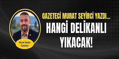 Gazeteci Murat Seyirci yazdı... Hangi delikanlı yıkacak!