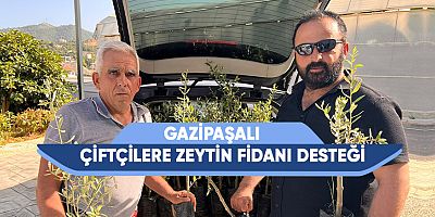 Gazipaşalı çiftçilere zeytin fidanı desteği