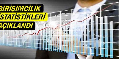 Girişimcilik istatistikleri açıklandı