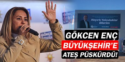 Gökcen Özdoğan Enç