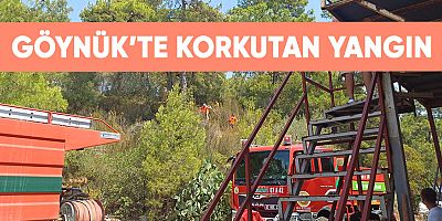 Göynük’te korkutan yangın.