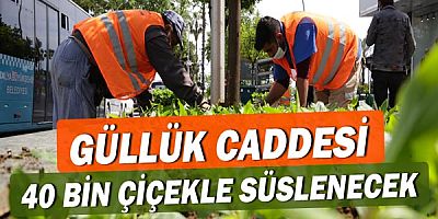 Güllük Caddesi 40 bin çiçekle süslenecek