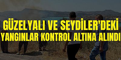 Güzelyalı ve Seydiler'deki Yangınlar Kontrol Altına Alındı