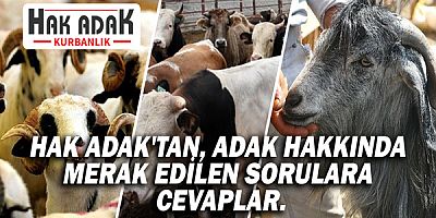 Hak Adak'tan, adak hakkında merak edilen sorulara cevaplar.