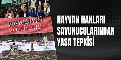 Hayvan Hakları Savunucularından Yasa Tepkisi