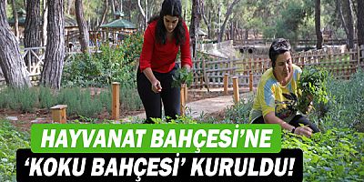 Hayvanat Bahçesi’ne aromatik bitkili ‘Koku Bahçesi’ kuruldu!