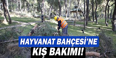 Hayvanat Bahçesi’ne kış bakımı!
