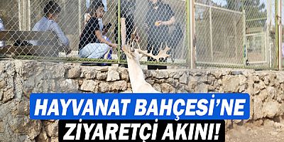 Hayvanat Bahçesi’ne ziyaretçi akını!