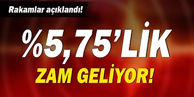 Haziran ayı enflasyonu açıklandı! Memur ve emekliye zam kapıda!
